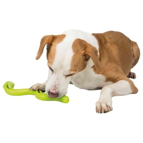 Wąż na przysmaki, dla psa, TPR, 27 cm Wąż na przysmaki, dla psa, TPR, 27 cm
